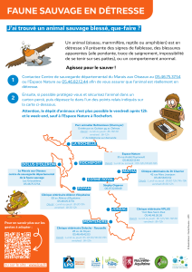 Carte avec la localisation et les coordonnées des relais où déposer un animal en détresse en Charente-Maritime
